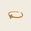 Anillo Sacro
