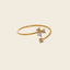 Anillo Sideral