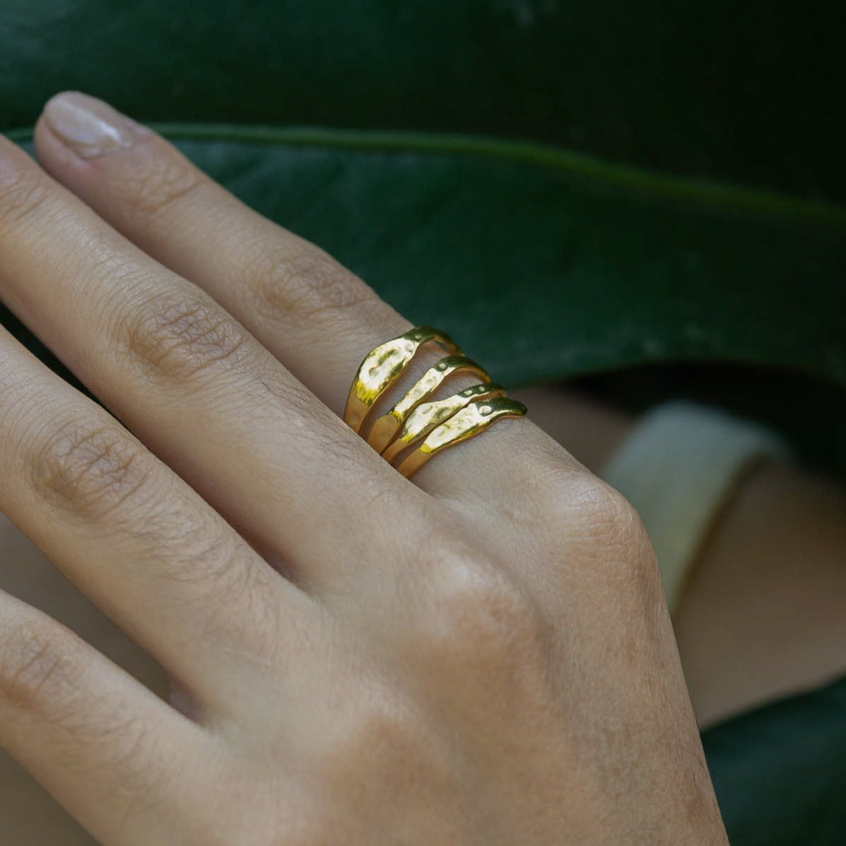 Anillo Hilario