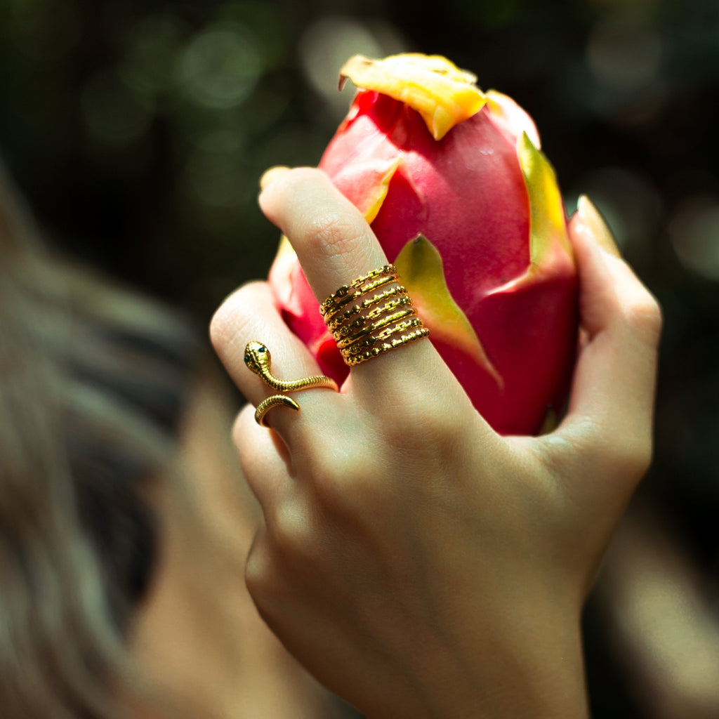 Anillo Trópico