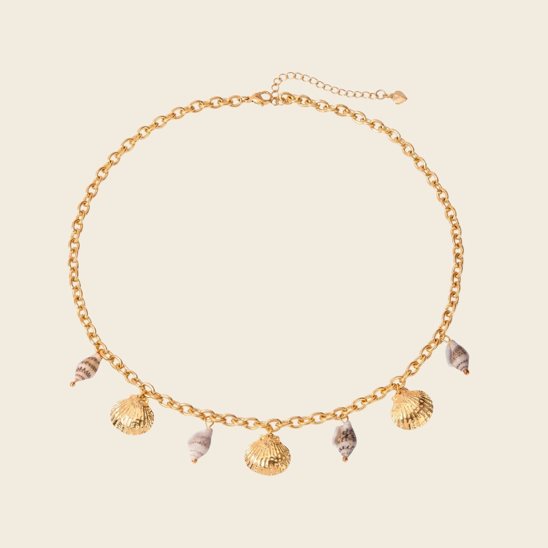 Collar Coral Imagen principal del producto
