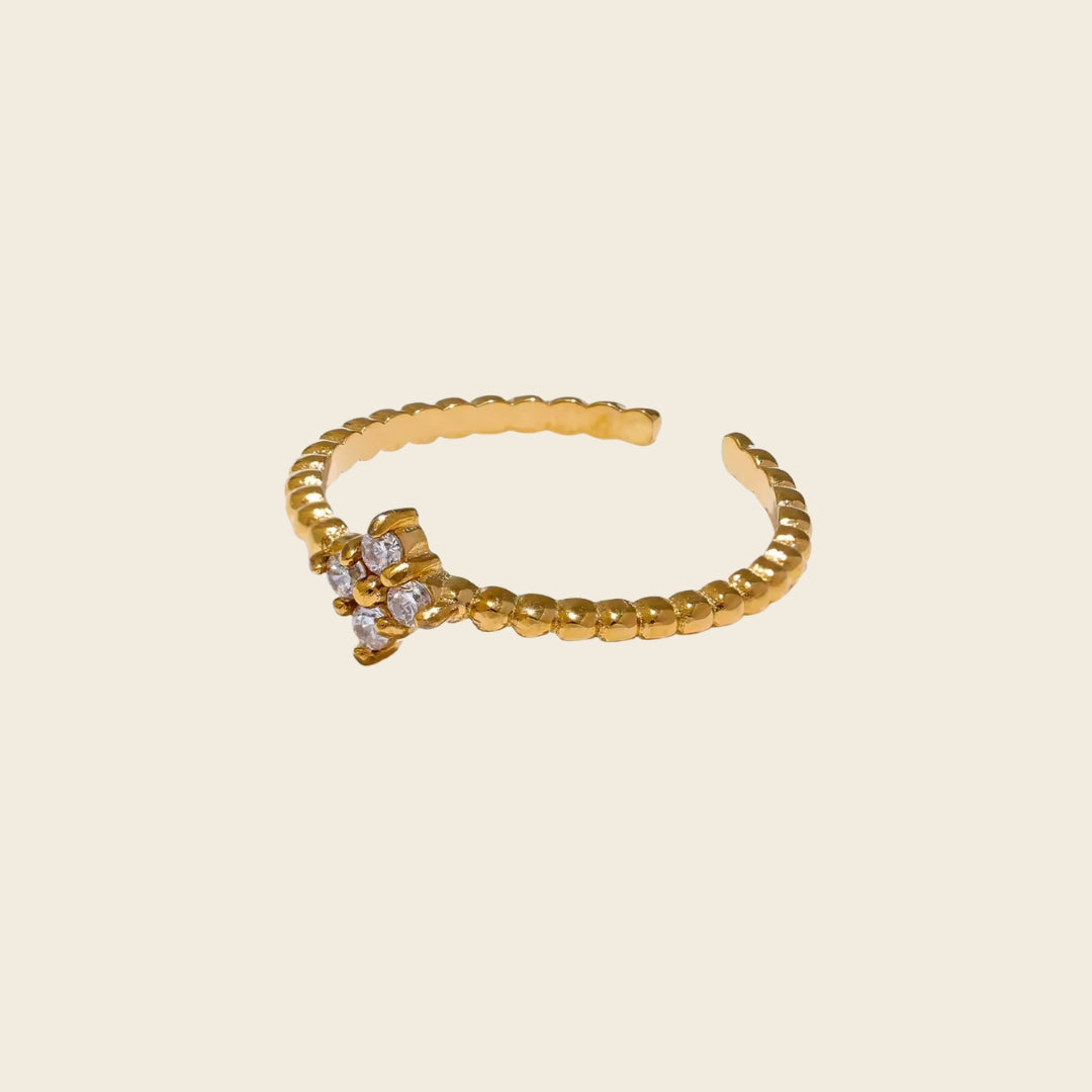 Anillo Sacro Imagen principal del producto