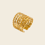 Anillo Trópico
