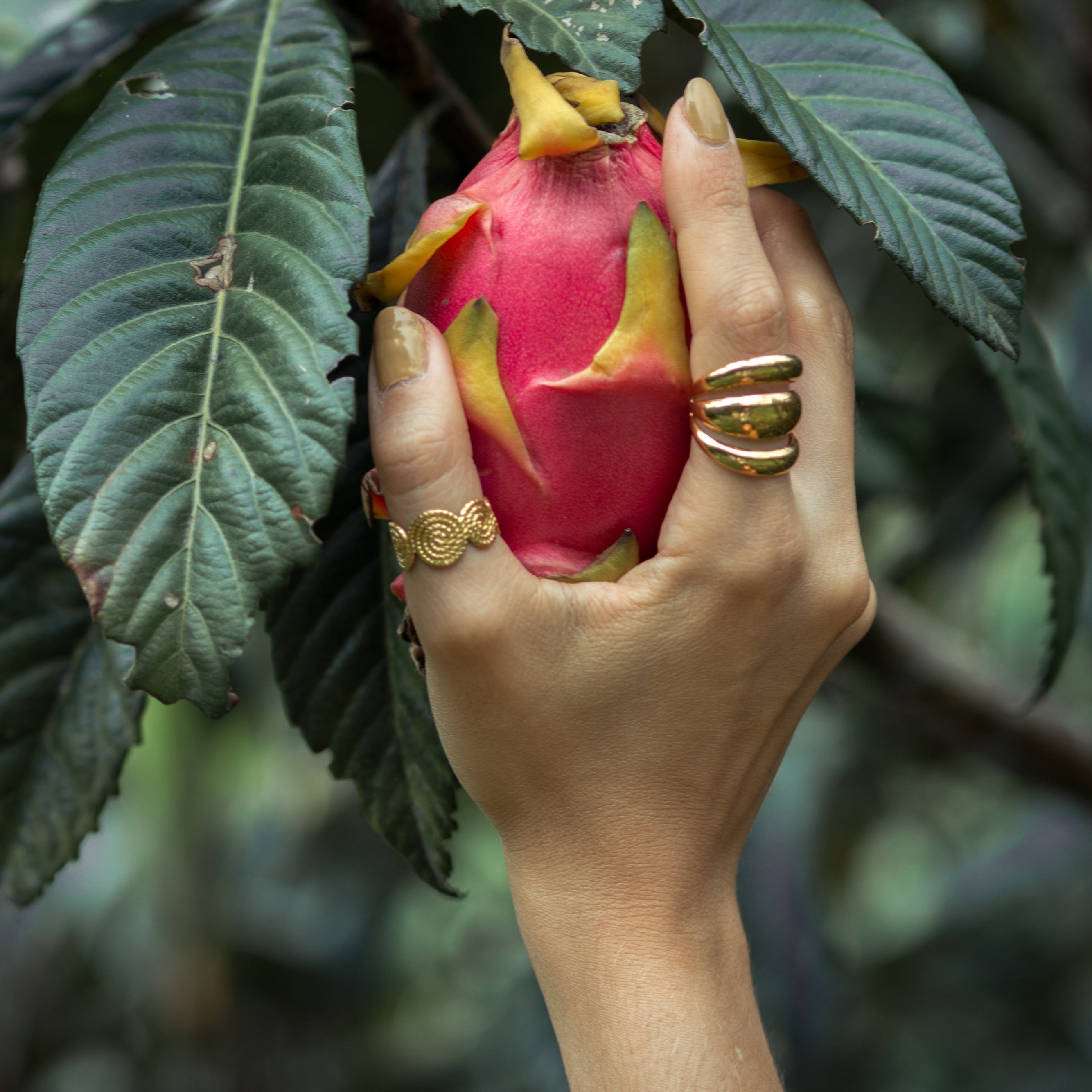Anillo Boros