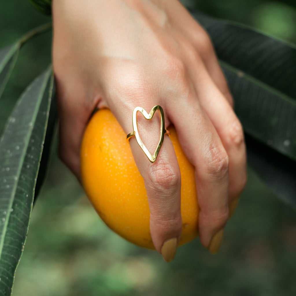Anillo Látido