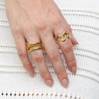 Anillo Rizo