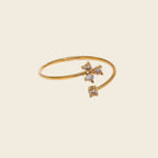Anillo Sideral