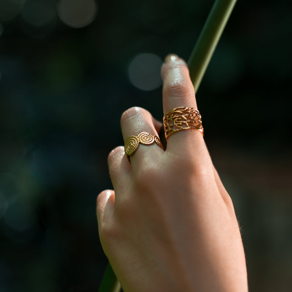 Anillo Boros