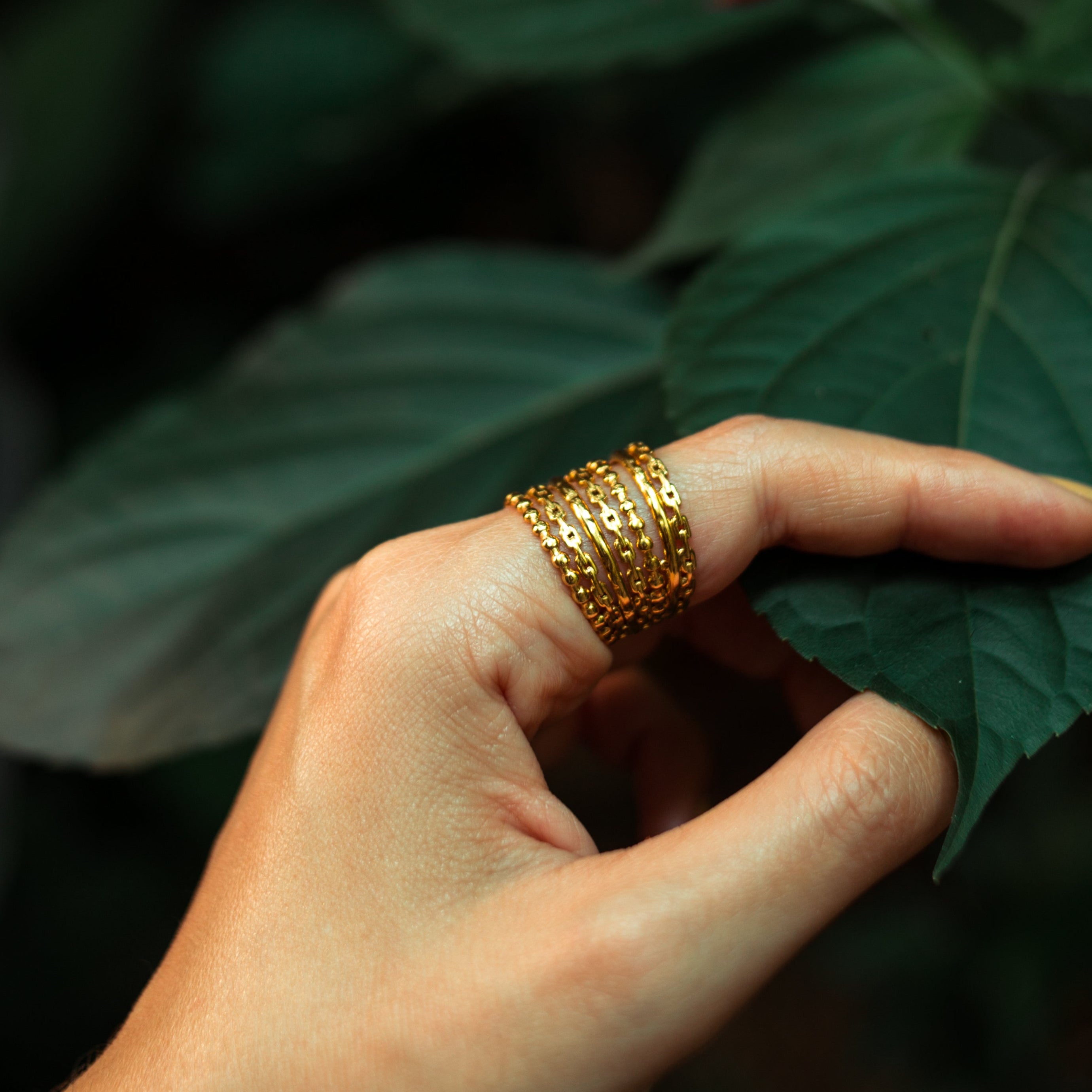 Anillo Trópico Imagen secundaria del producto