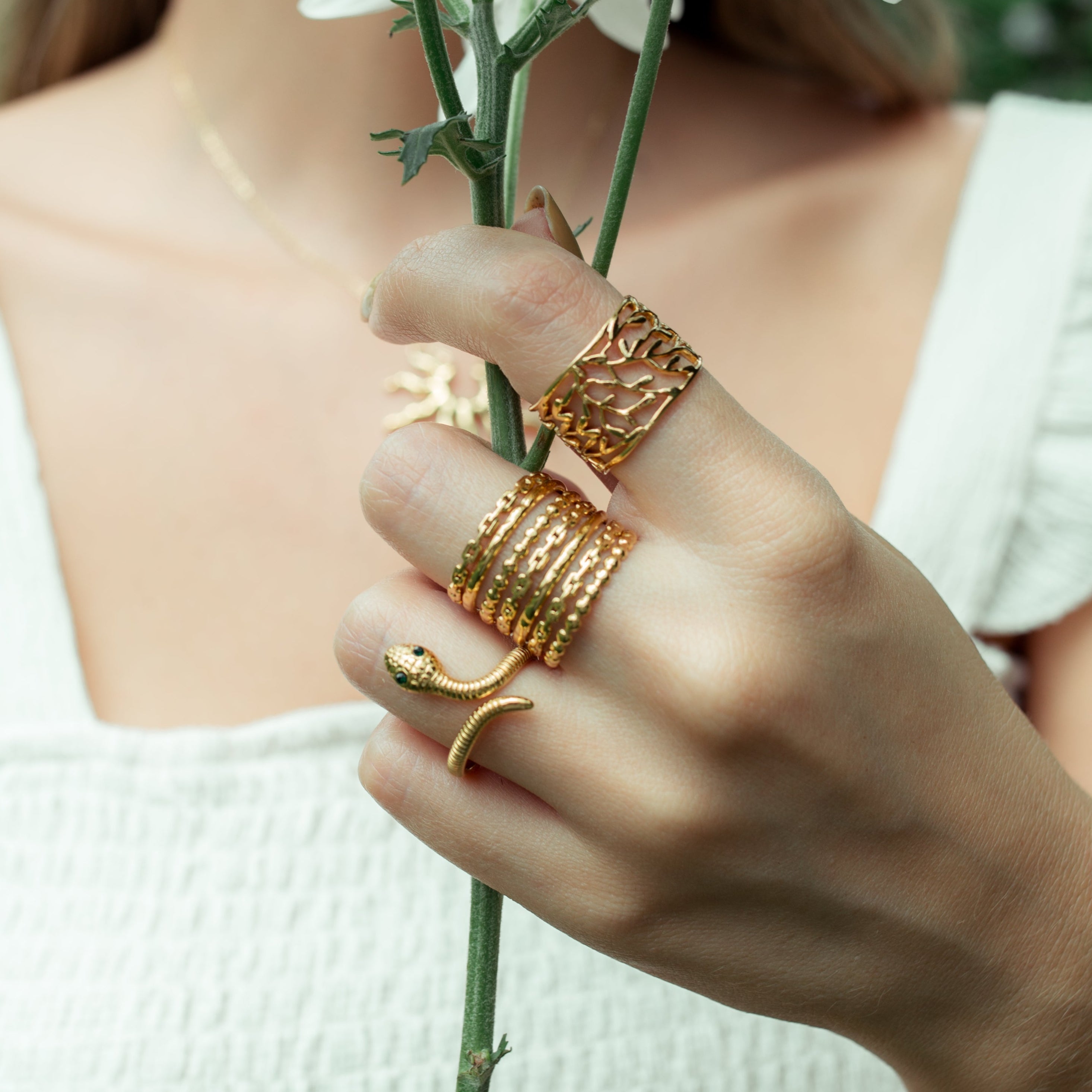 Anillo Trópico