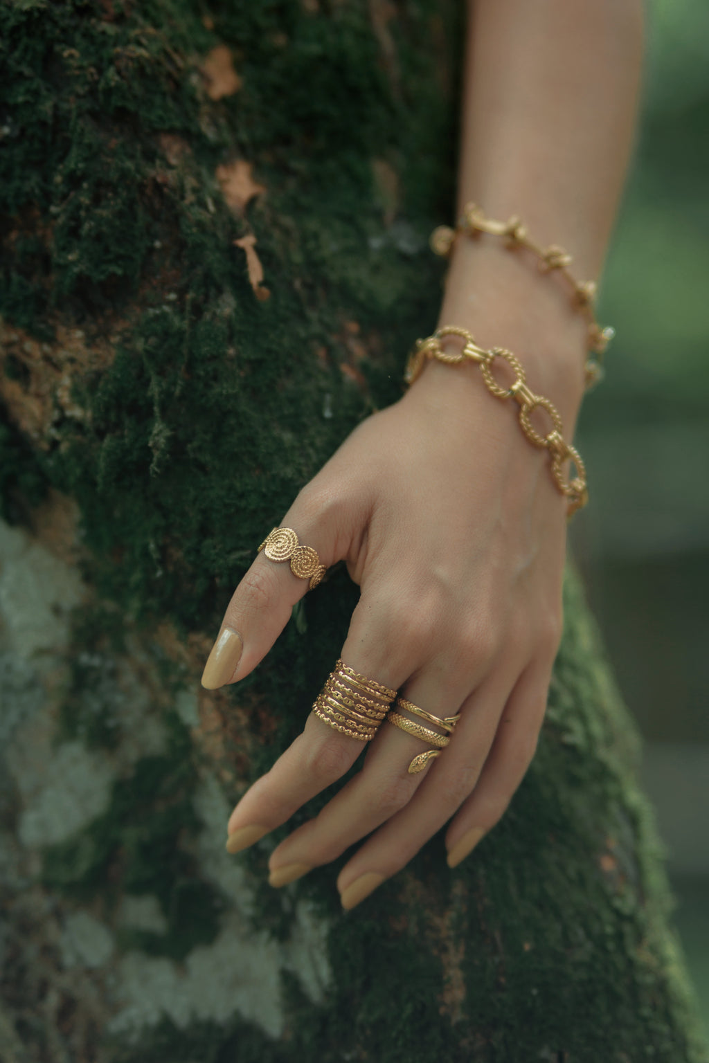 Anillo Trópico