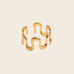 Anillo Rizo