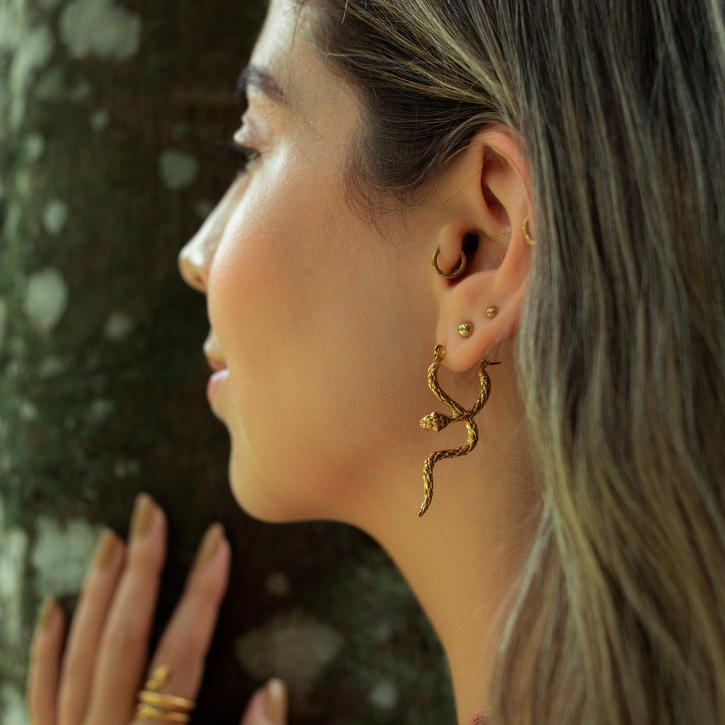 Aretes Serpie