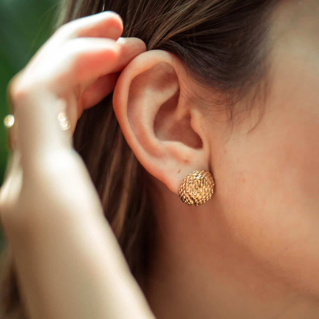 Aretes Nido