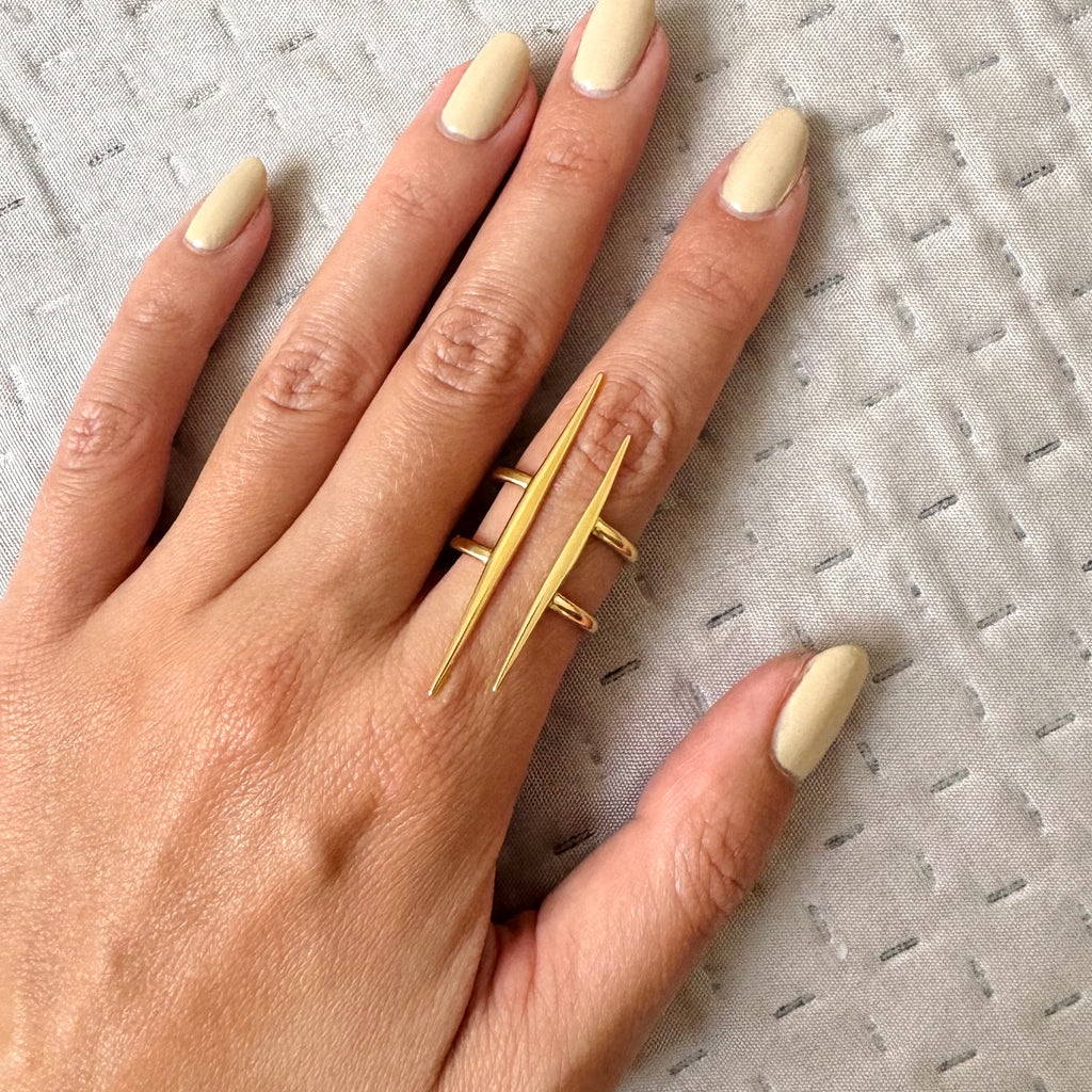 Anillo Rio