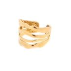 Anillo Hilario