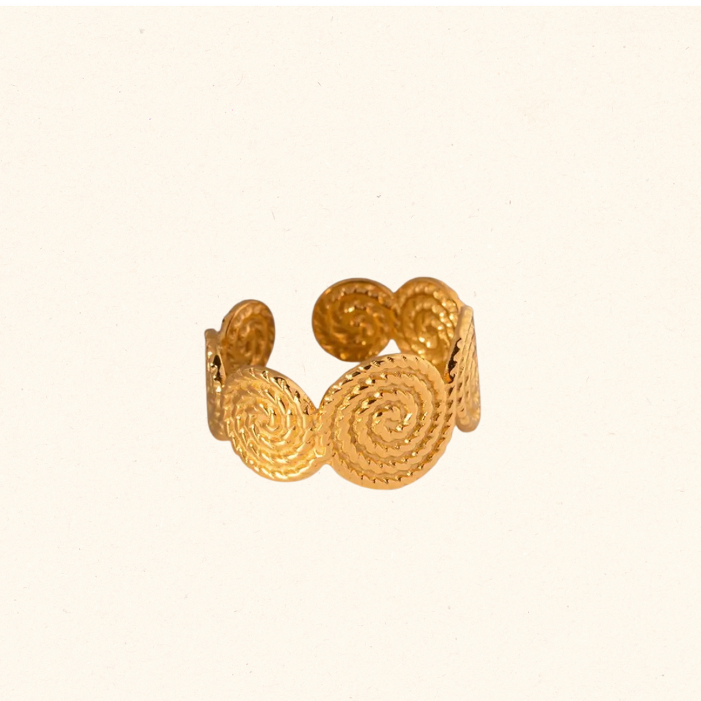 Anillo Boros