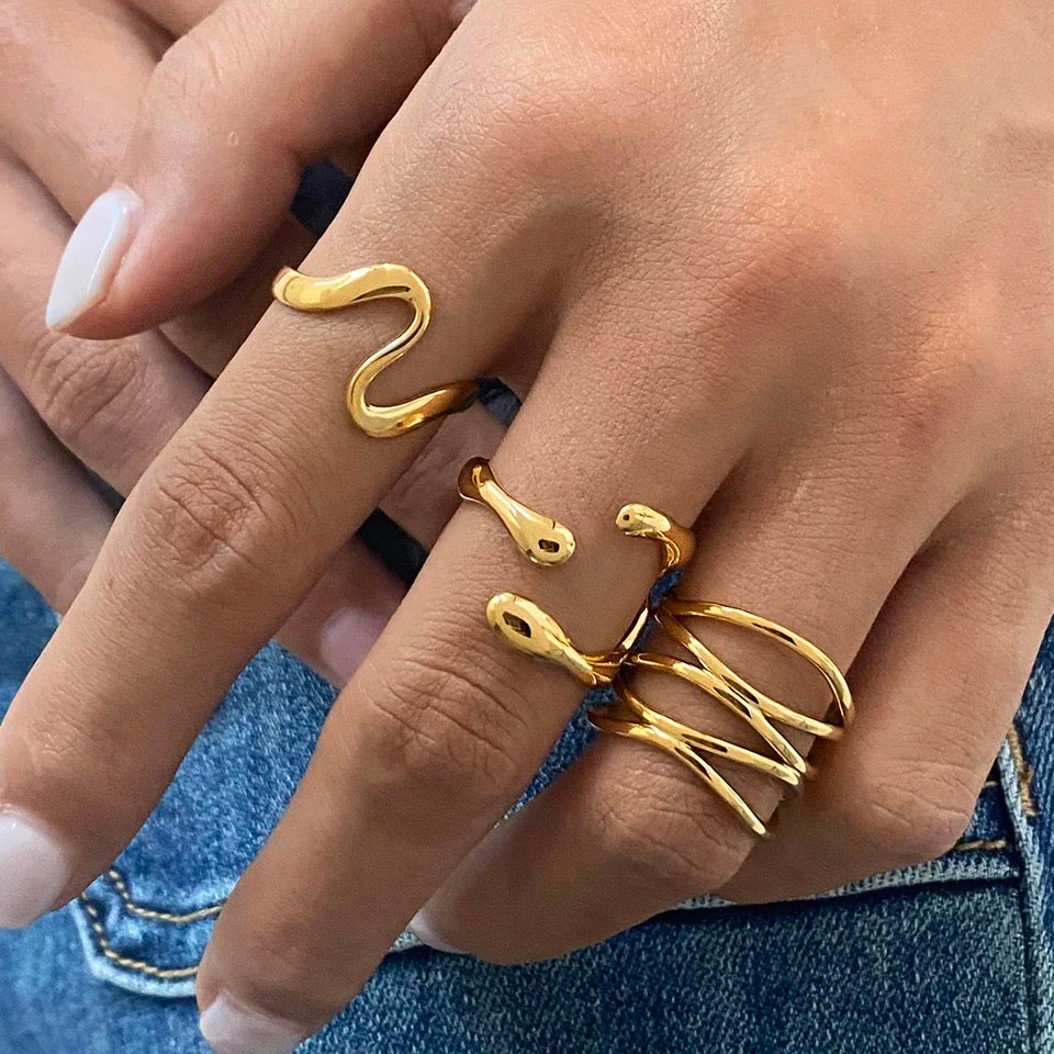 Anillo Curio