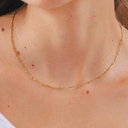 Collar Kai