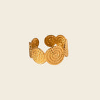 Anillo Boros