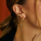 Aretes Bohemia